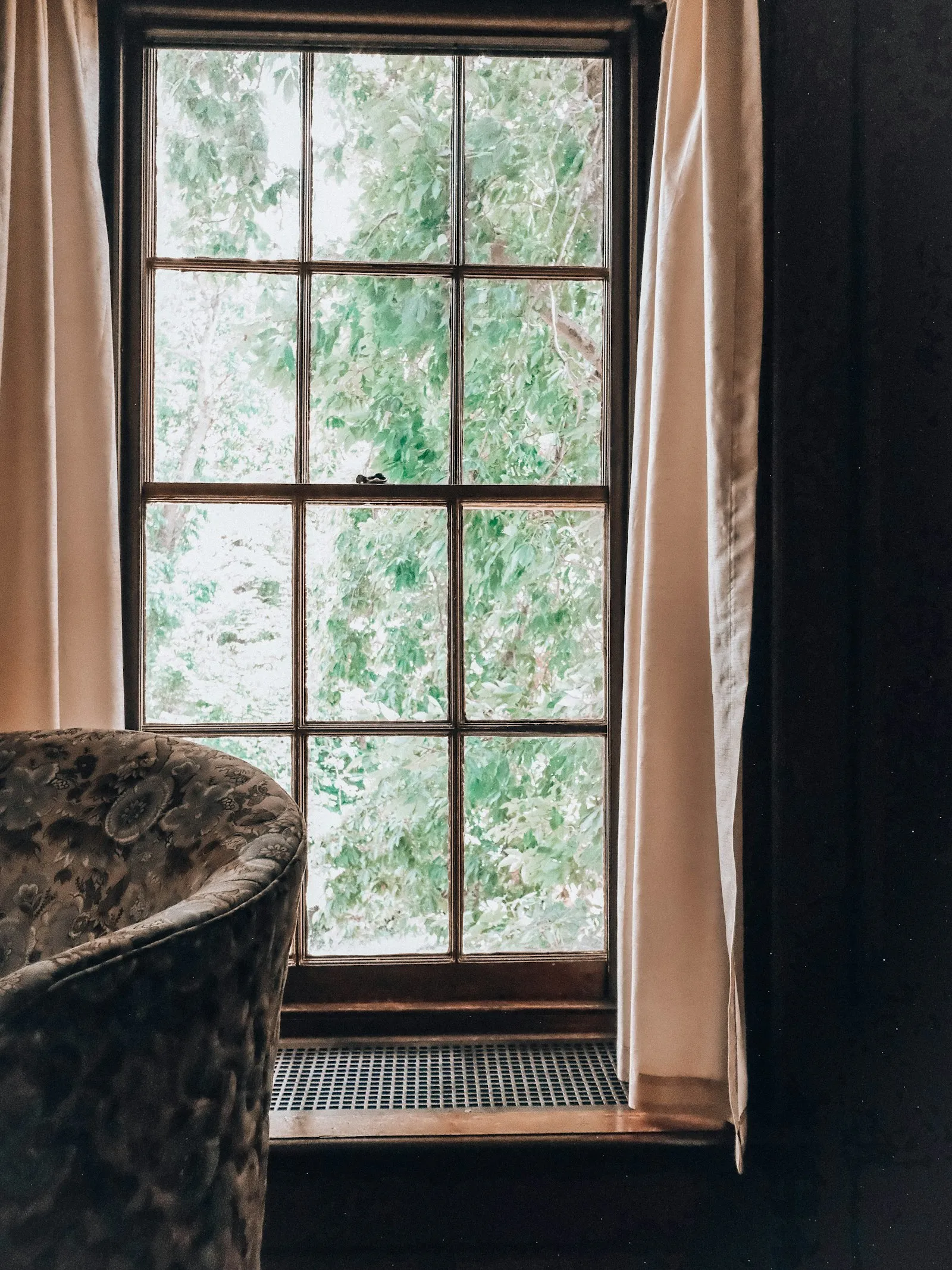 An armchair beside a tall window, green trees visible outside